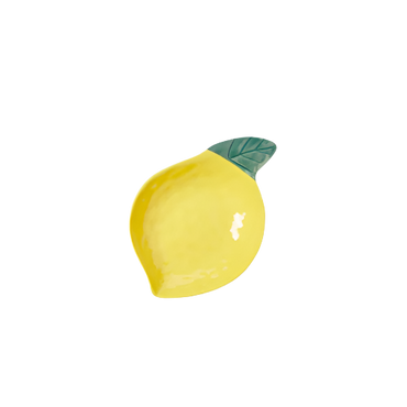 Outdoor Living Collection Medium Bowl with Lemon Design - Ideal for Picnics and Garden Parties